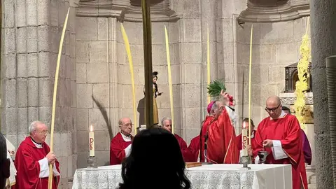 Bendici&oacute;n de palmas Obispo _4