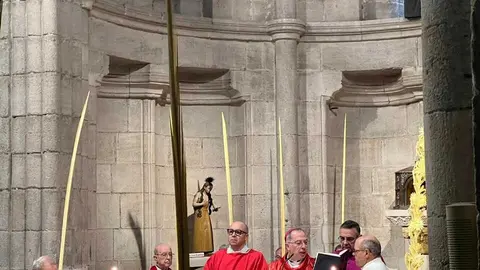 Bendici&oacute;n de palmas Obispo _5