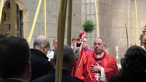 Bendici&oacute;n de palmas Obispo _6