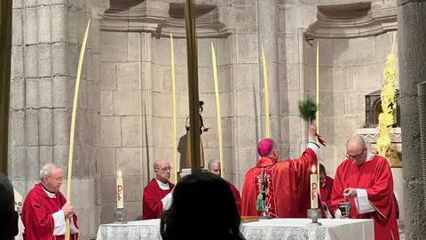 Bendici&oacute;n de palmas Obispo _7
