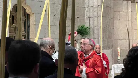 Bendici&oacute;n de palmas Obispo _8