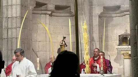 Bendici&oacute;n de palmas Obispo _9