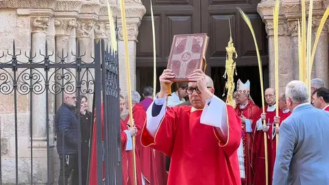 Bendici&oacute;n de palmas Obispo _19