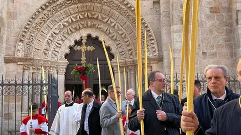 Bendici&oacute;n de palmas Obispo _22