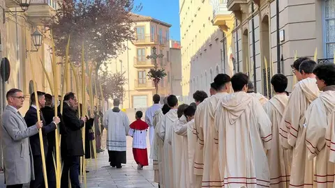 Bendici&oacute;n de palmas Obispo _24