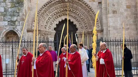 Bendici&oacute;n de palmas Obispo _27