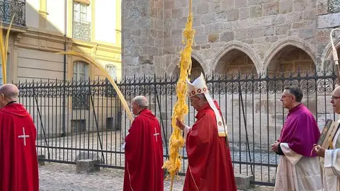 Bendici&oacute;n de palmas Obispo _31