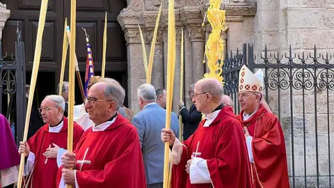 Bendici&oacute;n de palmas Obispo _32