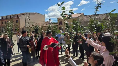 Domingo de Ramos en Granja de Moreruela