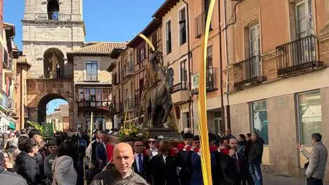 Toro borriquita
2026