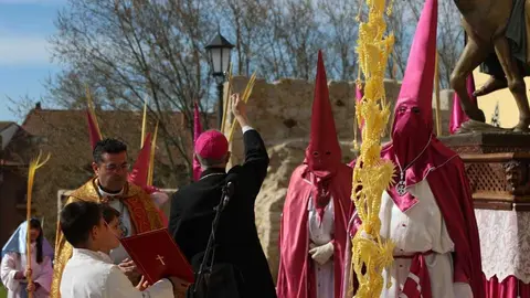 La Borriquita Zamora_20