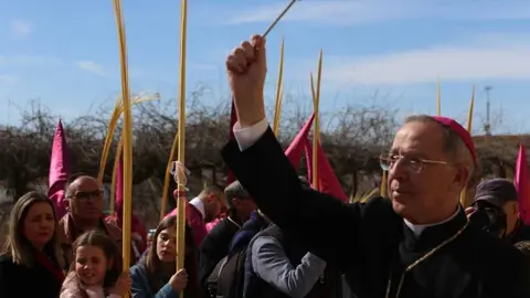 La Borriquita Zamora_25