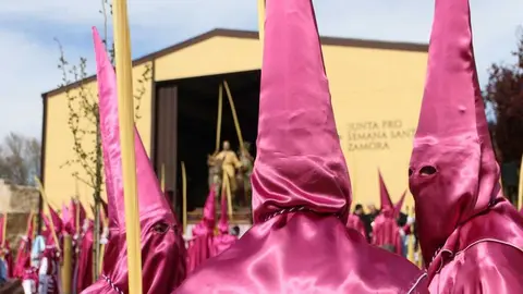 La Borriquita Zamora_31