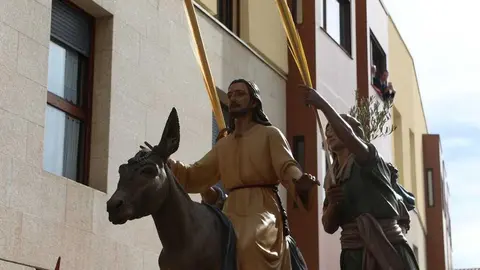 La Borriquita Zamora_36