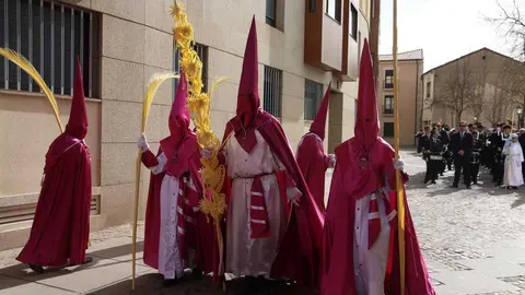 La Borriquita Zamora_37