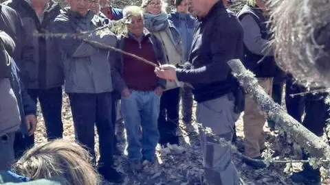 Casta&ntilde;icultura Aliste(2)