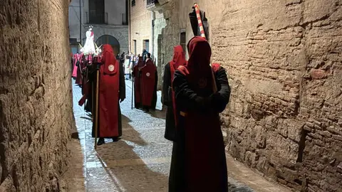 toro misericordia 2026 cristo