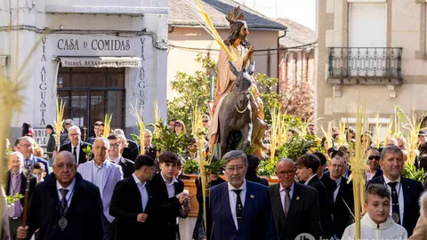 La Borriquita - imagen Interbenavente