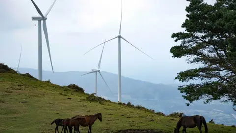 Parque e&oacute;lico
