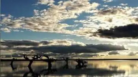 Imagen del cartel de Argusino VIve