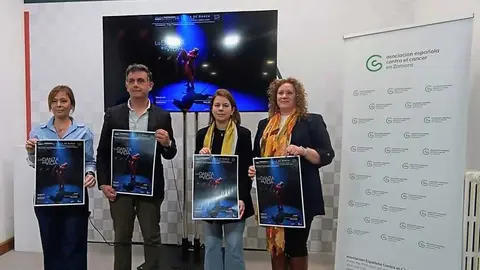 presentaci&oacute;n Gala de Danza_2