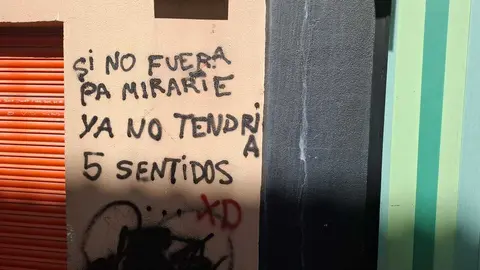 Pintada en Pasaje de Olmedo de Zamora