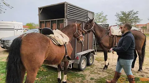   I Encuentro Provincial de Sevillanas Villaralbo _8