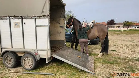  I Encuentro Provincial de Sevillanas Villaralbo _13