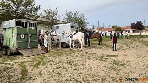   I Encuentro Provincial de Sevillanas Villaralbo _15