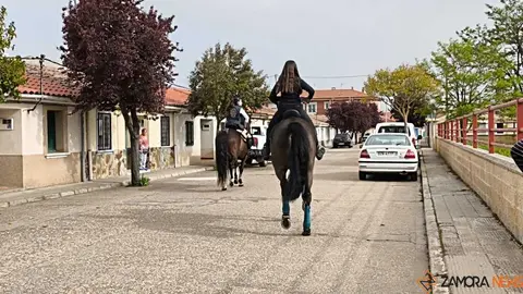  I Encuentro Provincial de Sevillanas Villaralbo _17