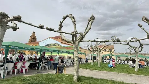 Jornada rociera en Madridanos _4