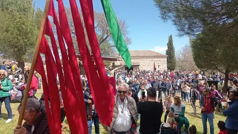 Romer&iacute;a Cristo de Valderrey bendici&oacute;n de campos _21