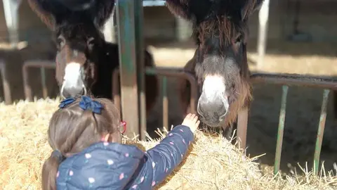 Alumnos Colegio Sagrado  Coraz&oacute;n de Jes&uacute;s visitan una finca en Madridanos