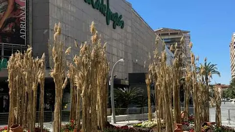 Proyecto Jardines de Primavera  Murcia Hugo Vega - imagen cedida