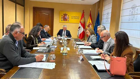 Comisi&oacute;n Auton&oacute;mica de Seguimiento presidida por el delegado del Gobierno, Nicanor Sen