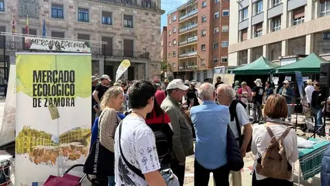 mercado ecol&oacute;gico y piedra de Sayago en Zamora 