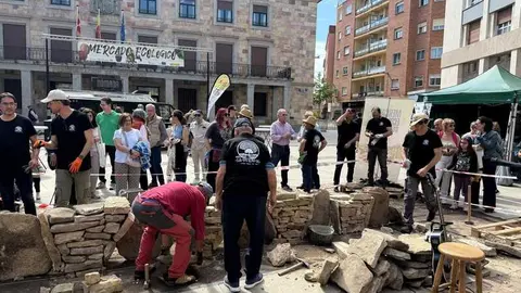 mercado ecol&oacute;gico y piedra de Sayago en Zamora _2