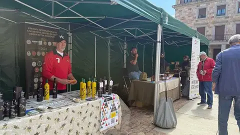 mercado ecol&oacute;gico y piedra de Sayago en Zamora _4