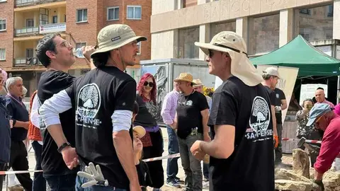 mercado ecol&oacute;gico y piedra de Sayago en Zamora _5