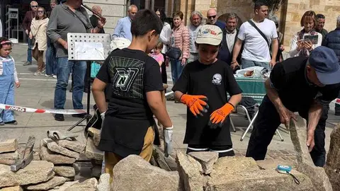 mercado ecol&oacute;gico y piedra de Sayago en Zamora _10