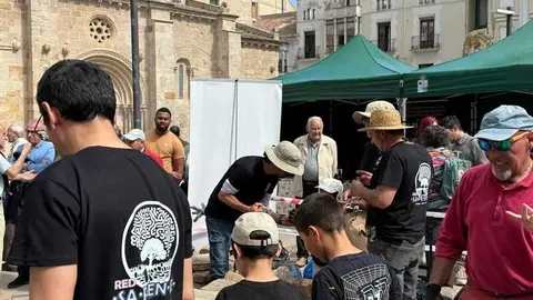 mercado ecol&oacute;gico y piedra de Sayago en Zamora _16