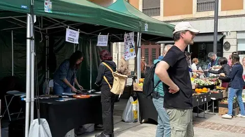 mercado ecol&oacute;gico y piedra de Sayago en Zamora _20