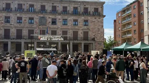 mercado ecol&oacute;gico y piedra de Sayago en Zamora _30