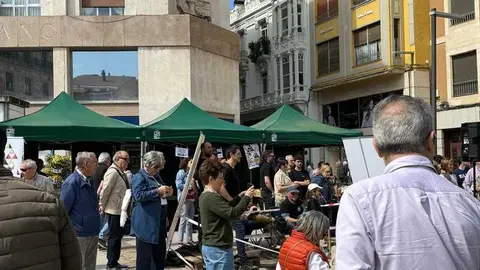 mercado ecol&oacute;gico y piedra de Sayago en Zamora _38