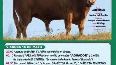 cartel fiestas de Villaf&aacute;fila