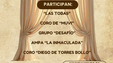 Cartel festival solidario