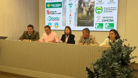  XXVII Feria Transfronteriza de San Miguel y el Concurso Morfol&oacute;gico de Sementales de Raza Castellana