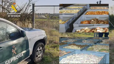 Productos decomisados en la intervenci&oacute;n del Seprona