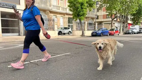 Carrera Solidaria D&iacute;a de Castilla y Le&oacute;n _37