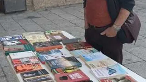 D&iacute;a del Libro en Fermoselle 